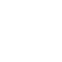 Professional Services